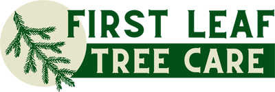 first leaf tree care logo